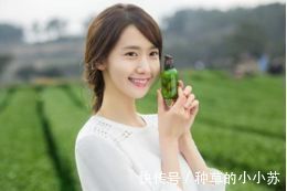 爆痘|油皮护肤攻略!夏季爆痘、黑头、毛孔粗大?我来拯救你们了!