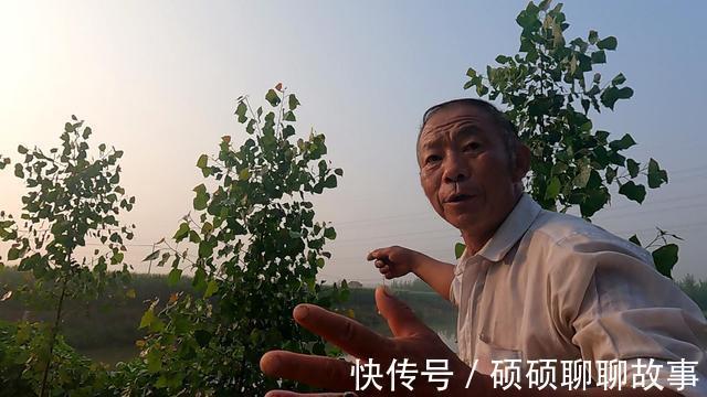 为了几条便宜鱼,硬生生把自己送进了班房,钓鱼人的天堂遭破坏