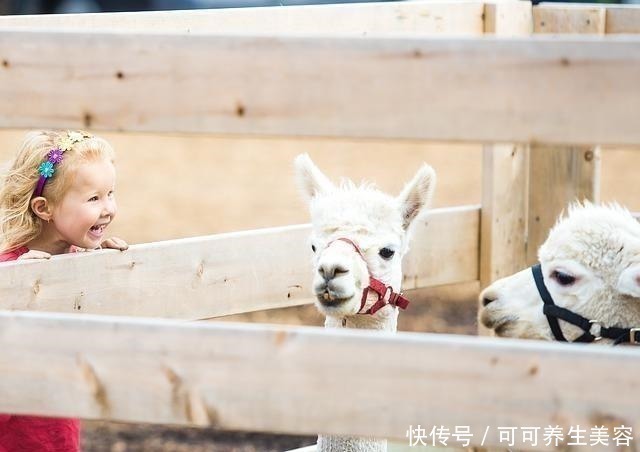 礼记.中庸|五胞胎出生,爸妈正为取名发愁,奶奶一口气报出5个好名字!