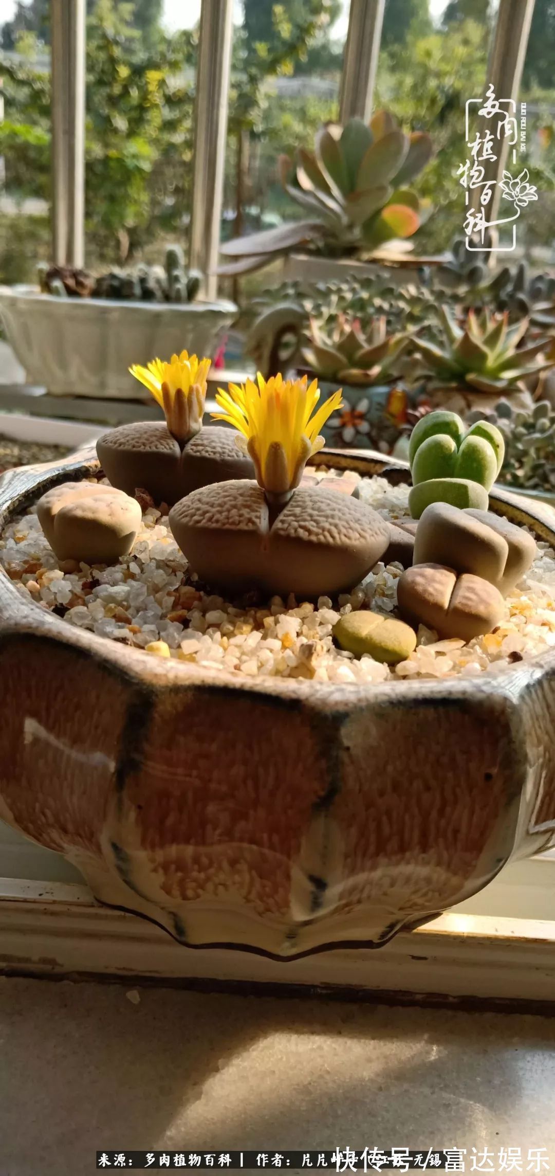 养肉路上，累并快乐着！时光不语，静待花开！