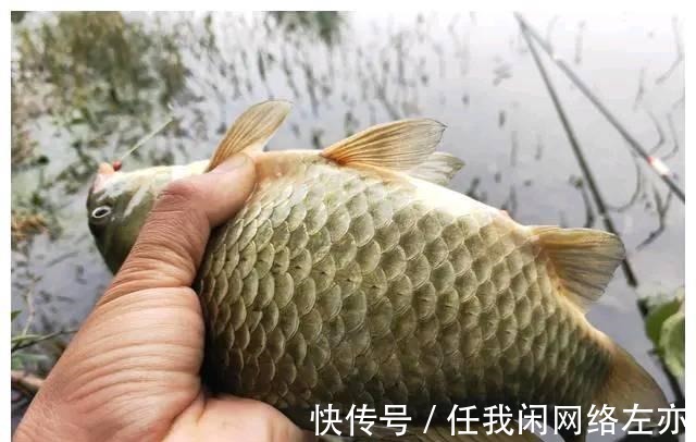 冬天钓鱼怎样判断鱼情判断鱼情的四个做法,是钓有所获的前提