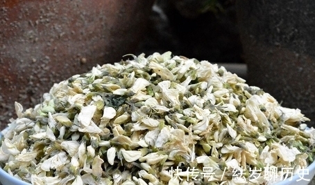 野菜|春天,这4种野菜记得吃,营养高口感好,错过了来年才能吃到