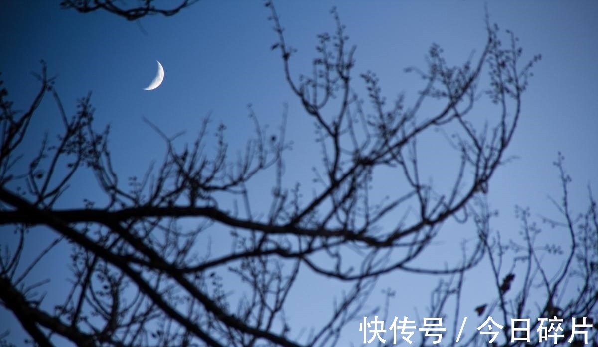 词人!纳兰性德《菩萨蛮》词中的深情:无处不伤心,轻尘在玉琴