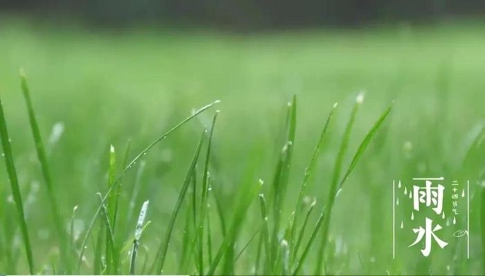 春雨|新华全媒+丨在中国古诗词里，寻找北京冬奥的“节气密码”