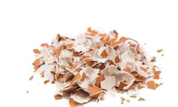 胃疼|好方留人间胃溃疡、胃酸多，两味药就化解，希望后人记住它