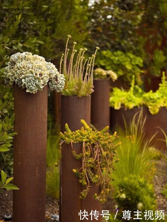 可别小看了被你扔掉的破铜烂铁!二次利用起来,在花园咋种都好看!