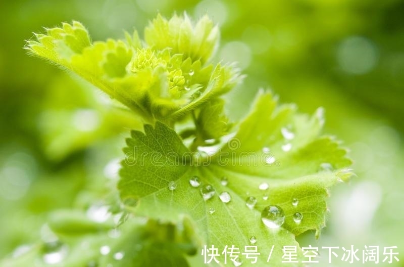 瓶梅|心守一抹暖阳，静待一树花开，愿时光温柔以待，岁月永不蹉跎