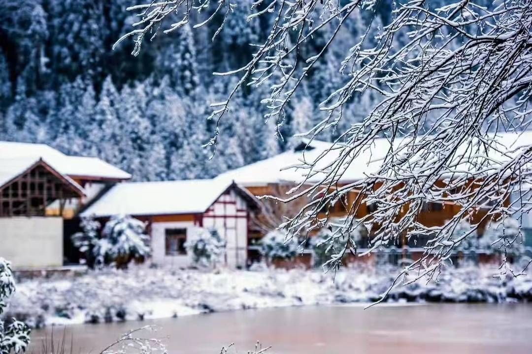 旅游|彭州虎年春节假期旅游成绩单出炉：“冰雪游”大热