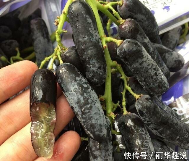 此树冻不死,插土就活,庭院种2棵,明年结果200斤全家吃不完