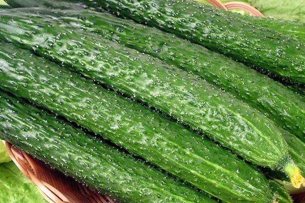 吃法|黄瓜的4个错误吃法,还有可能引起腹泻,尤其老人孩子要当心