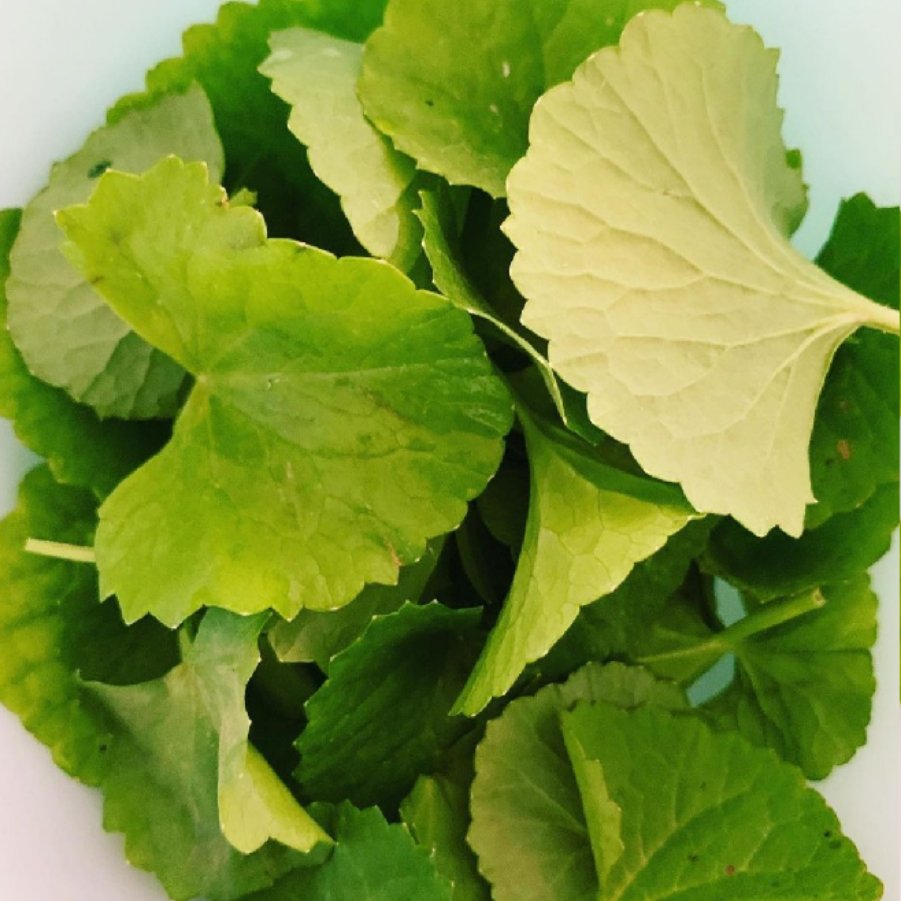 moony|人啊，就是要脸皮“厚”一点