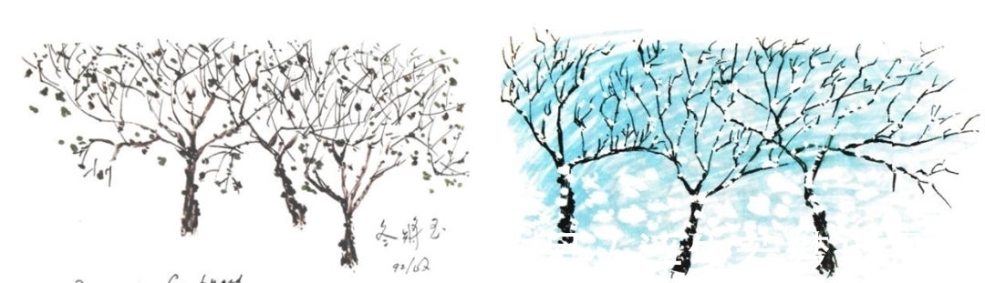 马约拉纳!李政道先生的诗情画意|左图右史