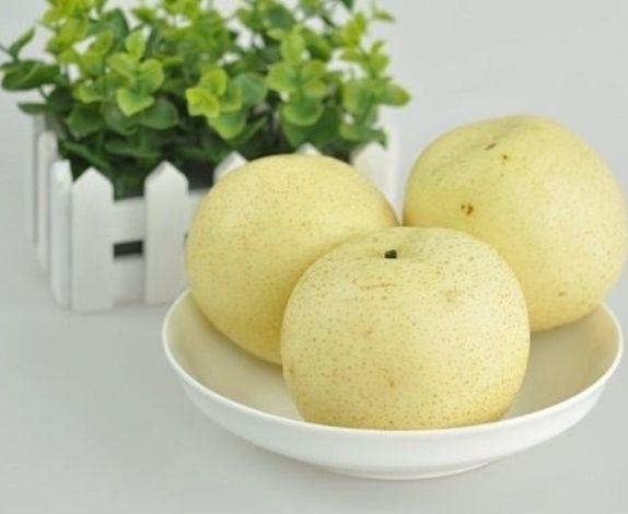 海木耳|每天不妨多吃3种食物,营养丰富、滋润肌肤,好处多多!