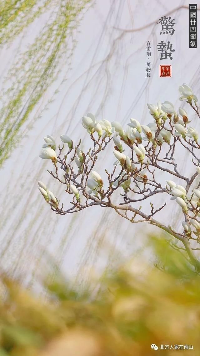 【惊蛰】送你一片春暖花开