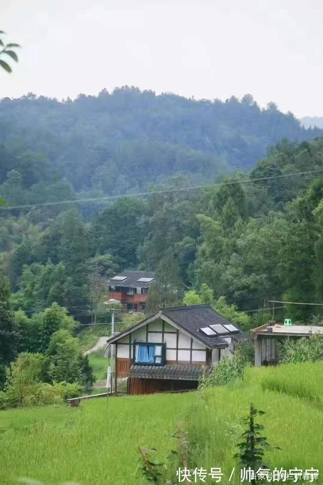 秋韵#【七绝·秋韵】清风伴我不孤行,晨起轩窗有鸟鸣