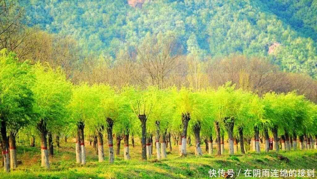 河南确山：梦里水乡，美丽常庄