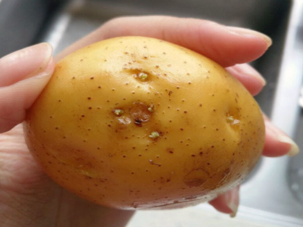 营养物质|妇科大夫女人处于更年期，少碰“3菜”，常喝1汤，预防早衰老