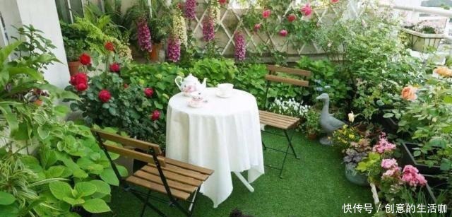 这4样东西丢掉就是浪费,撒在花盆里,花草猛窜芽,花朵爆满盆!