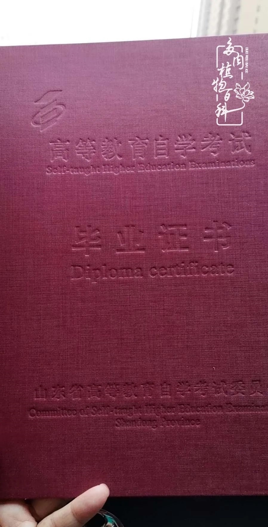 回顾令人难忘的2020年!2021,我定不负美肉不负众望!