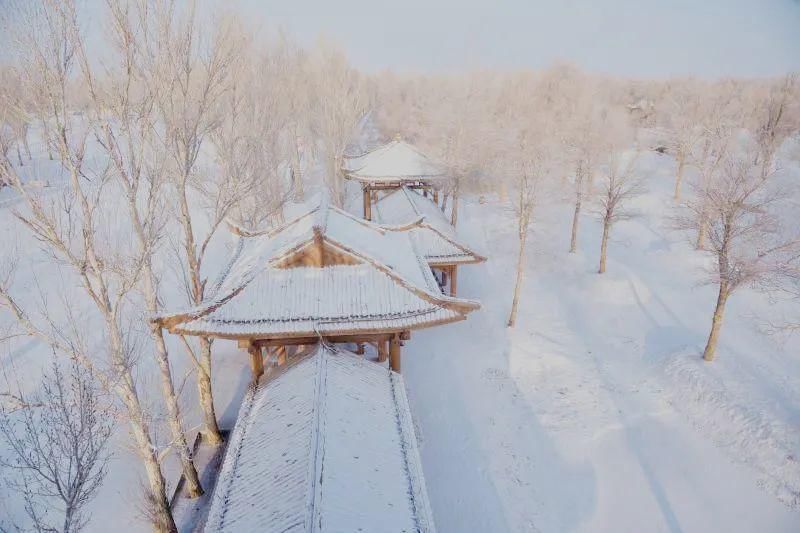 拥抱|用玩雪拥抱这个冬天，金塔胡杨林冰雪嘉年华整装待发！