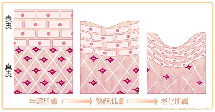 合集|618孕期护肤必备丨2021年度安全性超高的人气孕妇面霜品牌大合集