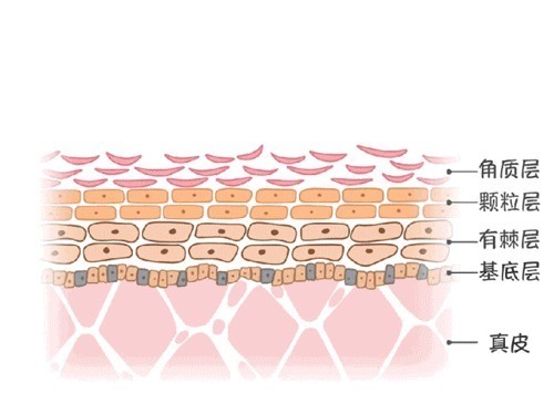 空气|只有化妆才需要卸妆?告诉你什么才是护肤第一步