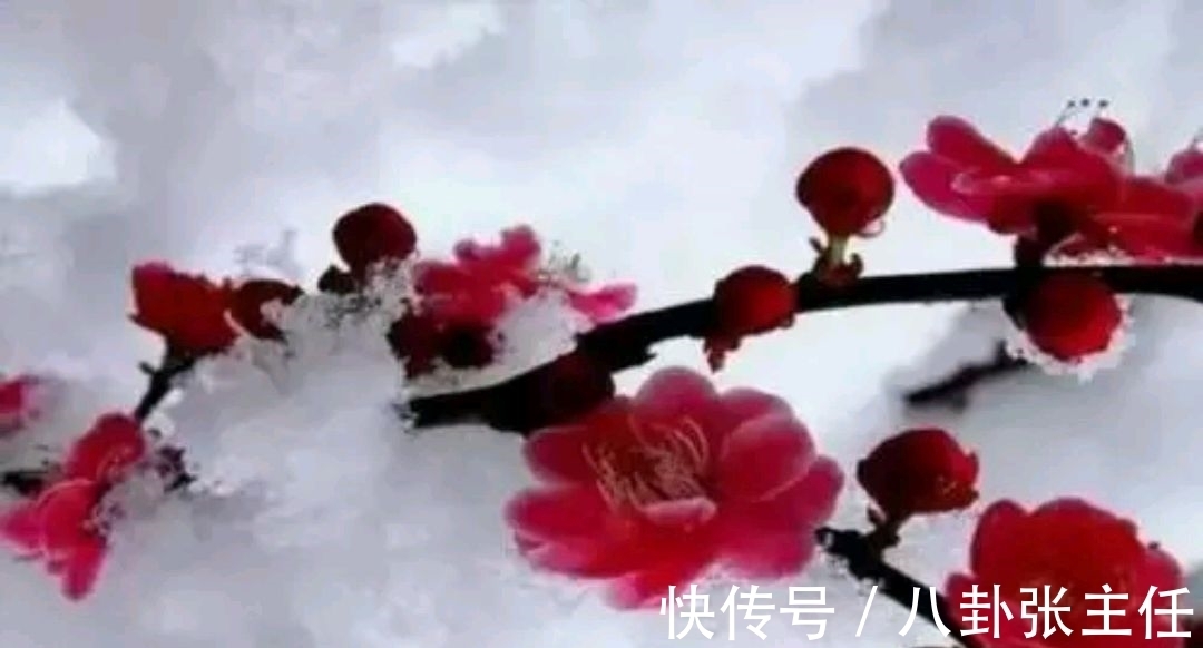 争锋$野渡征联:梅雪争锋春设局,征对下联