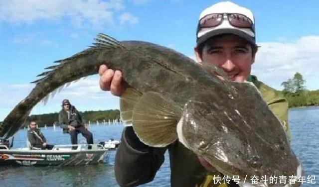 一钱不值|只有潮汕人才懂吃的鱼,在国内一钱不值,到日本摇身一变成高档鱼