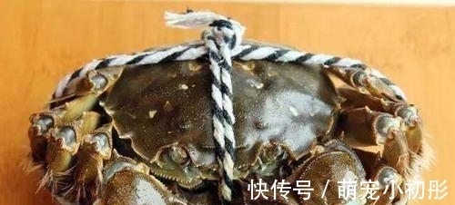冰箱|吃不完的螃蟹，不要直接放冰箱，大厨教你一招，放7天也不会坏