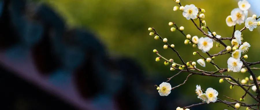 小诗|古人的小诗,美如滋滋流水润人间