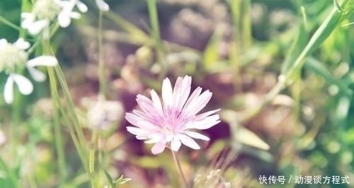 曾国藩|增广贤文五:想要规劝别人,说话要先有分量