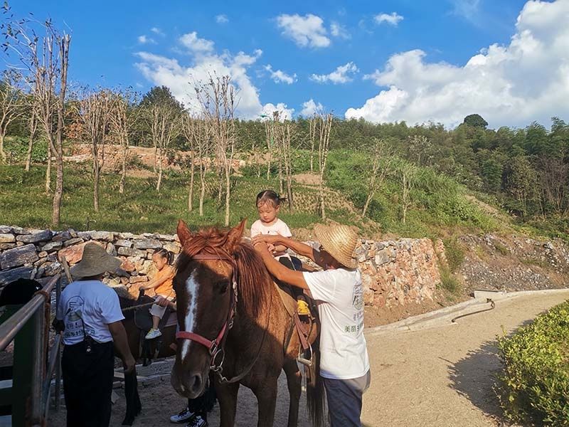 乡村|闻一缕花香 赏一片竹海 喝一罐鸡汤 咸安乡村特色游炙手可热