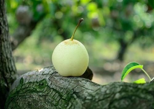 患上肺结节后，身体可能会有4个表现，不妨了解一下