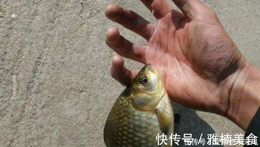 冬钓时,唯独这3种窝料才最实用,简单又省事,大鲫鱼一诱一大群