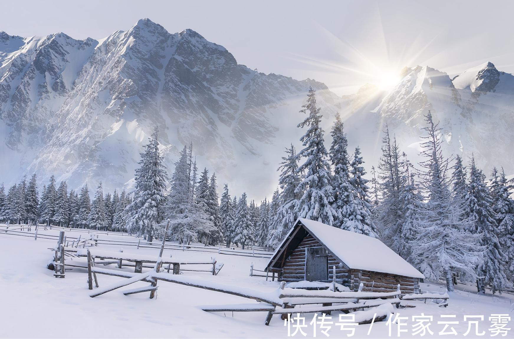 诗人&清代诗人一首咏雪诗,大雪纷飞白梅盛开,道尽下雪的况味和意境