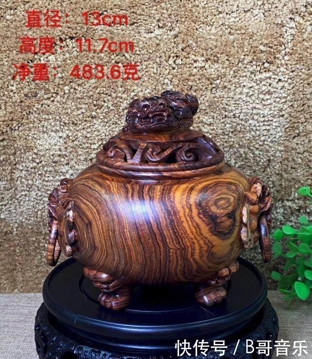 老炮从越南带回两根黑棒槌 一刀切开 激动得以头抢地 拂掌而呼