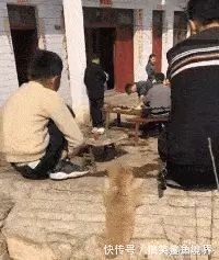 |搞笑GIF：世界上最可怕的荡秋千，给钱我都不去