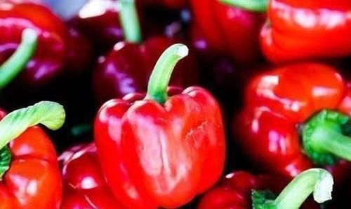 南瓜藤|女人不想显老,推荐吃3种食物,滋润肌肤,身体棒棒哒