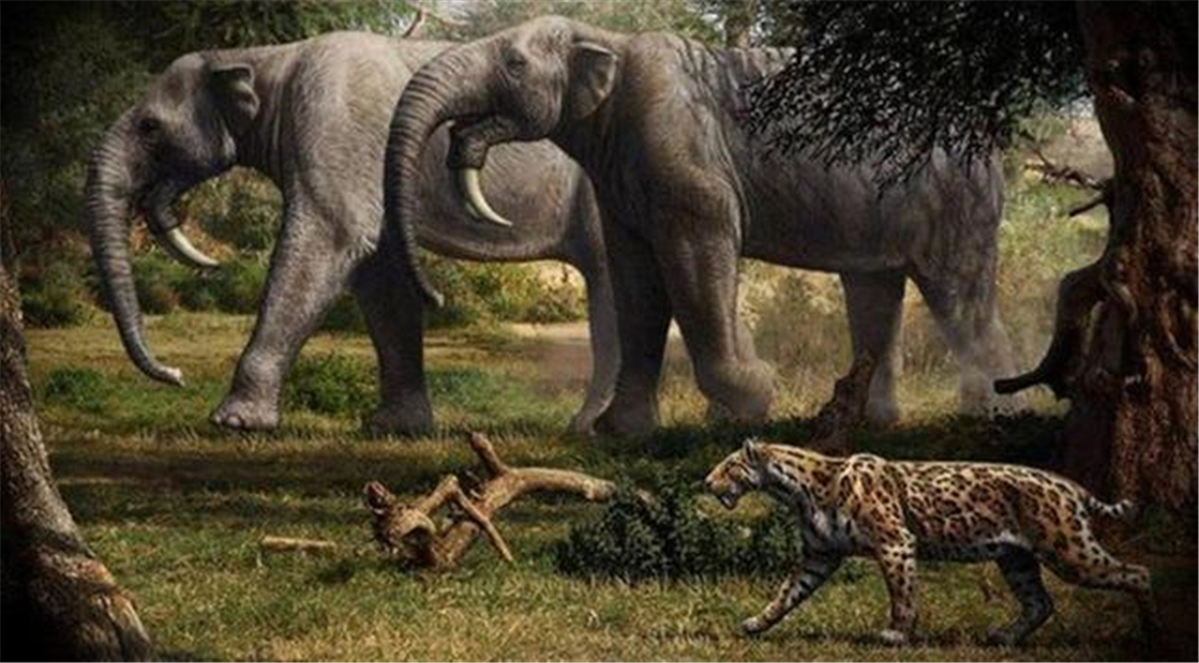 青藏高原&青藏高原曾出现长牙巨兽,3米獠牙重达6吨,剑齿虎见了都绕道走