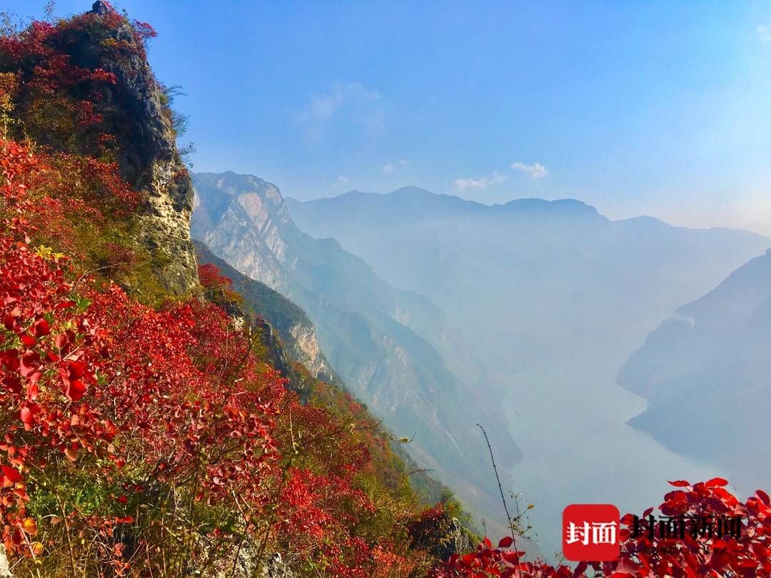  明年|红叶好美！重庆巫山诚邀四川游客 明年还将开巫山—成都专线高铁