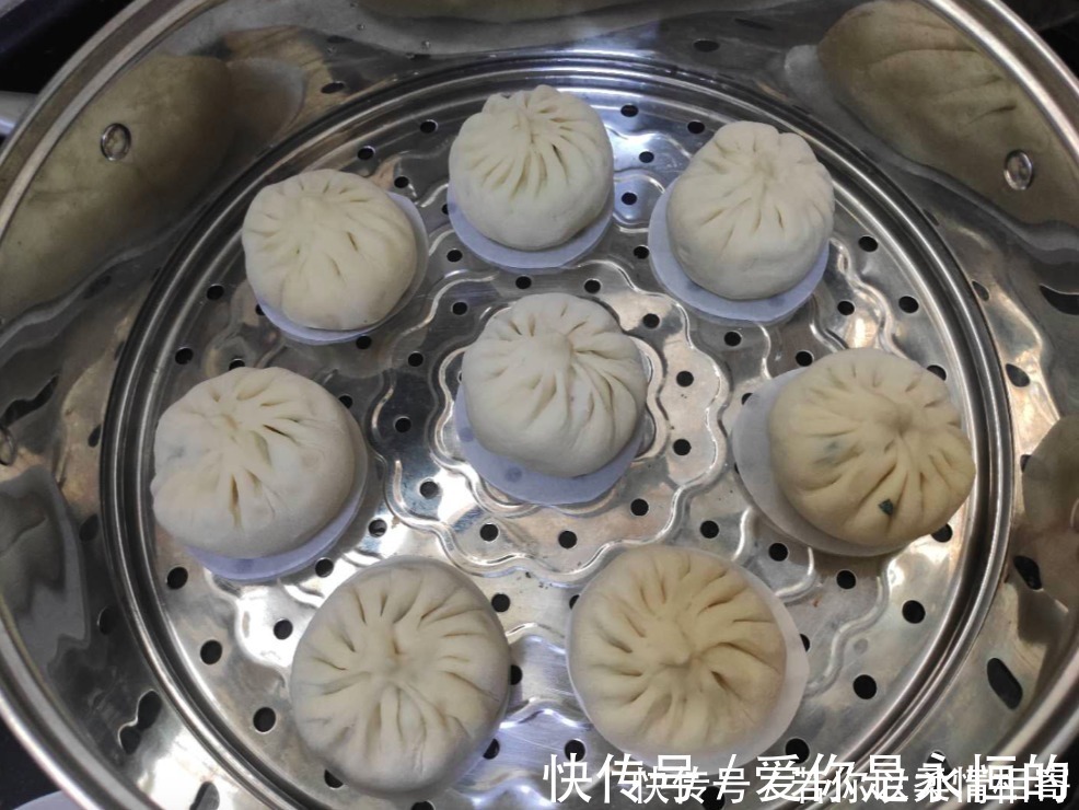 包子|秋天韭菜芹菜靠边站,此菜5毛钱1斤,蒸包子特美味,不放肉也很香