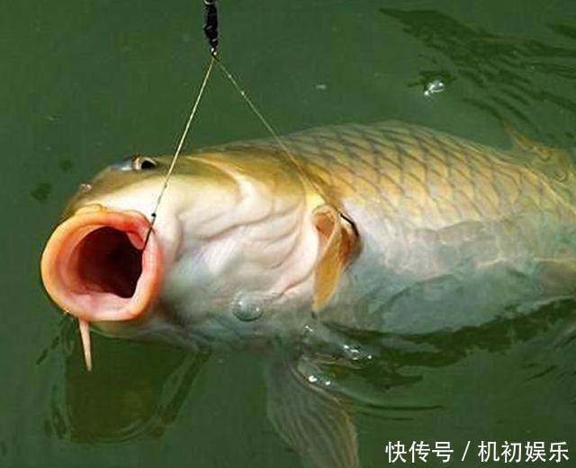 水广鱼稀没渔获教你4招让你一眼就找到鱼窝