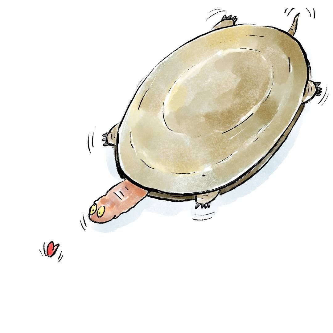 |生活不是段子|多年前你的一句保重,我至今没瘦