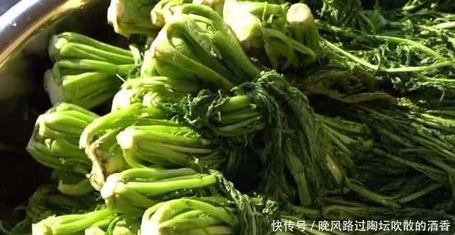 在菜市场看到“此菜”别错过,拿回家加点盐,邻居给钱都不卖!