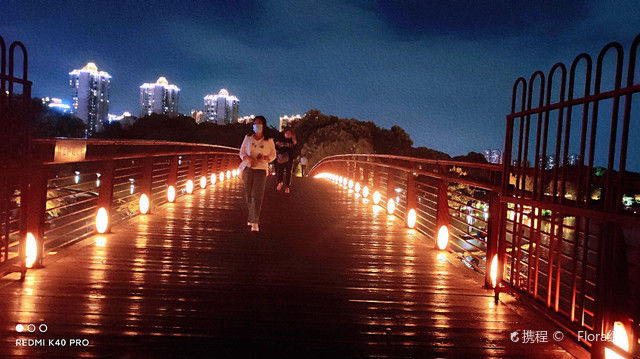 夜色|千夜湖夜色丨那些我们曾经错过的风景