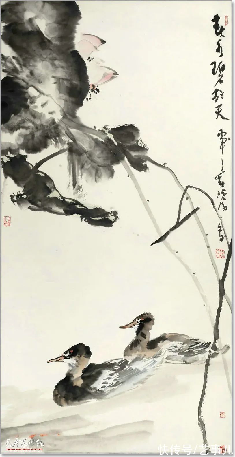 库尔勒!尹沧海教授荷花水禽作品欣赏:笔意简率自由 一派天趣自成