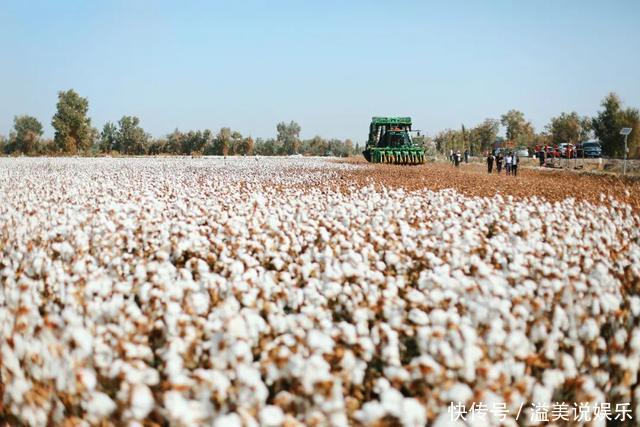 中年|苏州女子探秘南疆巴州:这是一处色彩的世界,超出你的想象