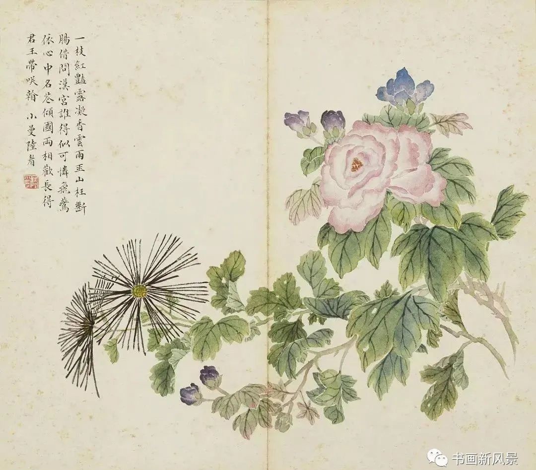 陆小曼花卉册页,很美很惊艳!