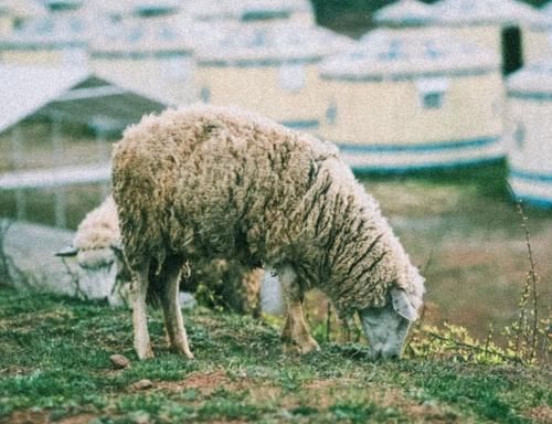 言育育儿:当孩子跟你闹脾气的时候,你该怎么做?