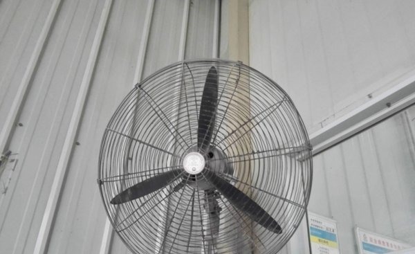 电风扇|甲醛怎么去除？教你5种方法快速去甲醛，放心住新家